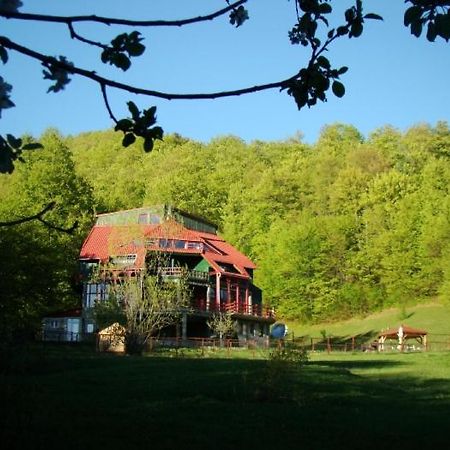 Hotel Barlogul Ursilor Lepşa Esterno foto