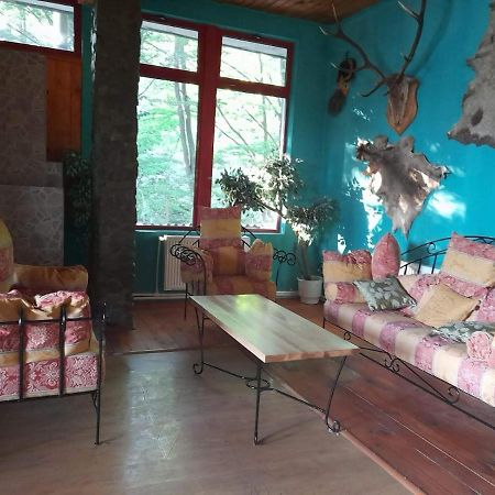 Hotel Barlogul Ursilor Lepşa Esterno foto