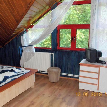 Hotel Barlogul Ursilor Lepşa Esterno foto