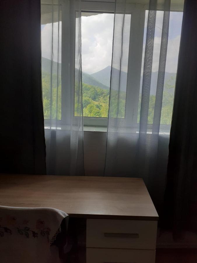 Hotel Barlogul Ursilor Lepşa Esterno foto