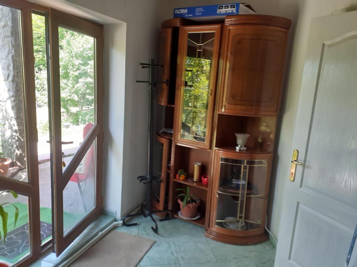 Hotel Barlogul Ursilor Lepşa Esterno foto