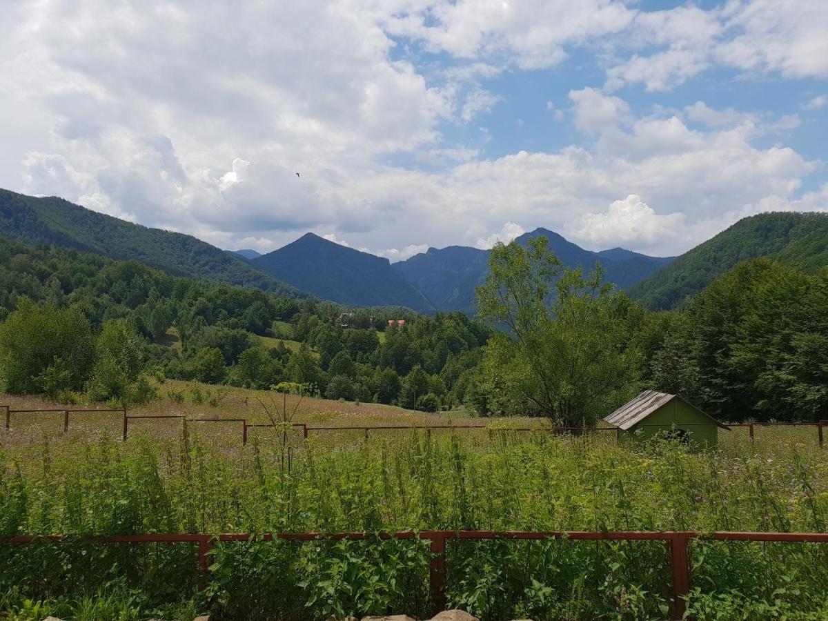 Hotel Barlogul Ursilor Lepşa Esterno foto