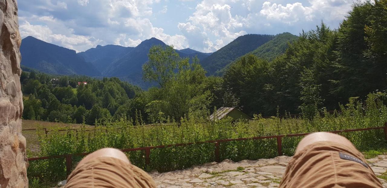 Hotel Barlogul Ursilor Lepşa Esterno foto