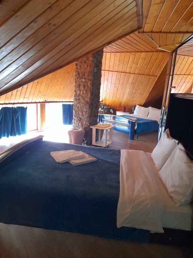 Hotel Barlogul Ursilor Lepşa Esterno foto