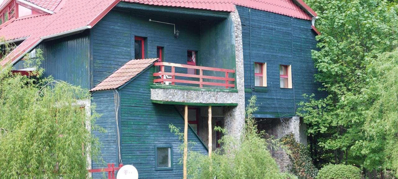 Hotel Barlogul Ursilor Lepşa Esterno foto