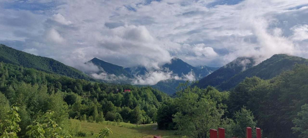 Hotel Barlogul Ursilor Lepşa Esterno foto