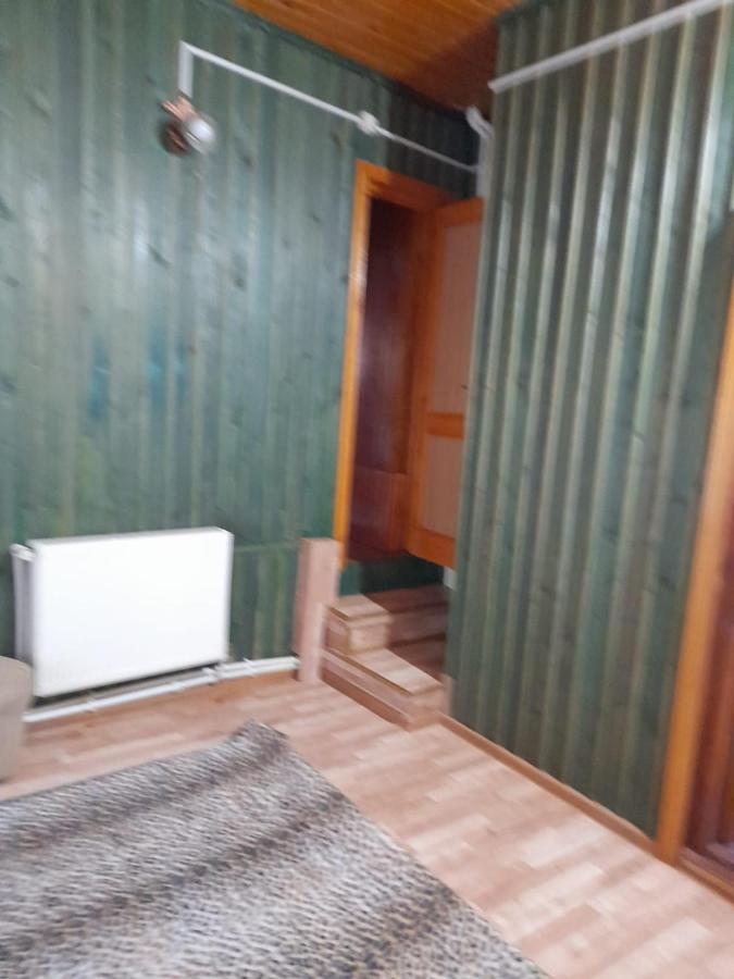 Hotel Barlogul Ursilor Lepşa Esterno foto