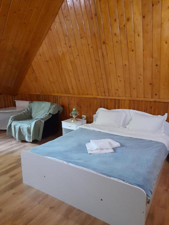 Hotel Barlogul Ursilor Lepşa Esterno foto