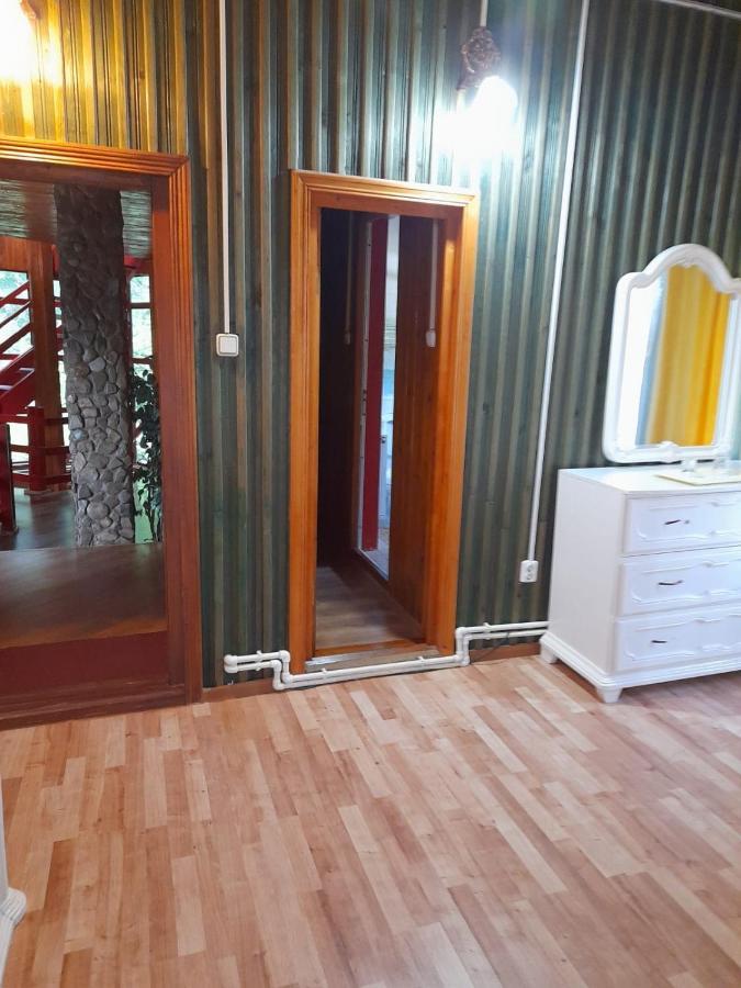 Hotel Barlogul Ursilor Lepşa Esterno foto