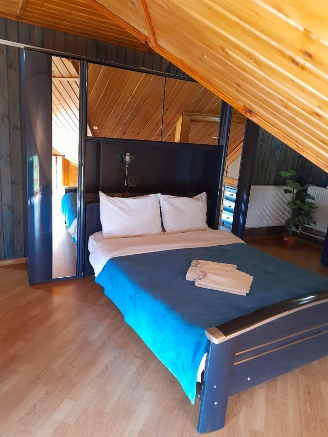 Hotel Barlogul Ursilor Lepşa Esterno foto