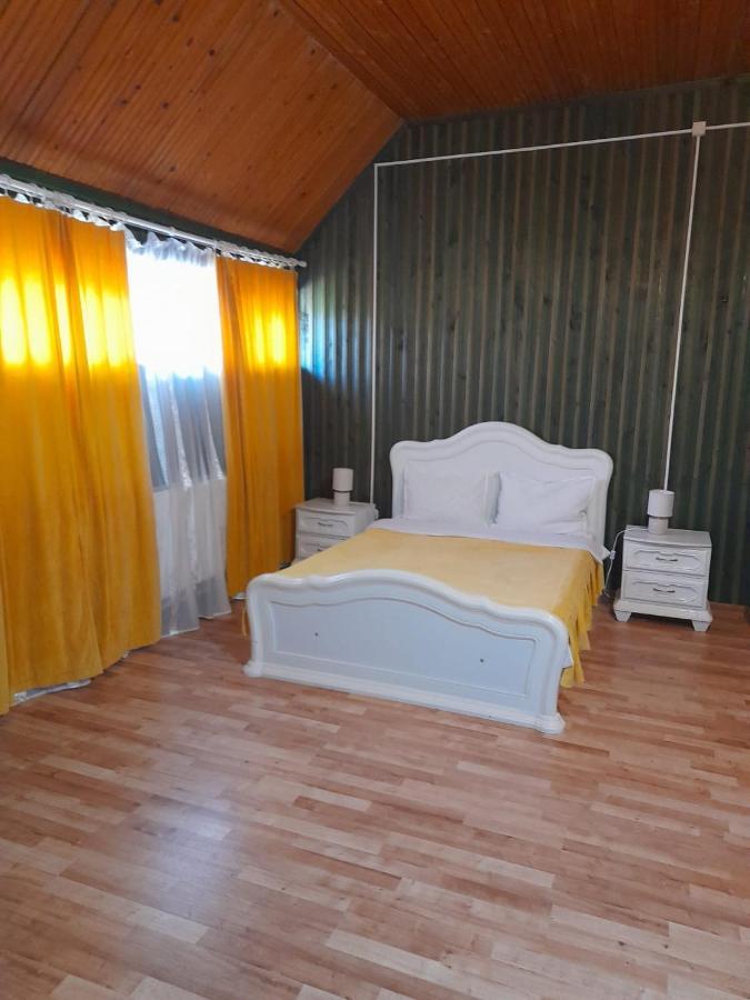 Hotel Barlogul Ursilor Lepşa Esterno foto