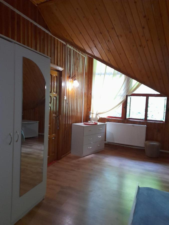 Hotel Barlogul Ursilor Lepşa Esterno foto