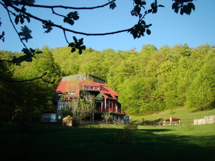 Hotel Barlogul Ursilor Lepşa Esterno foto