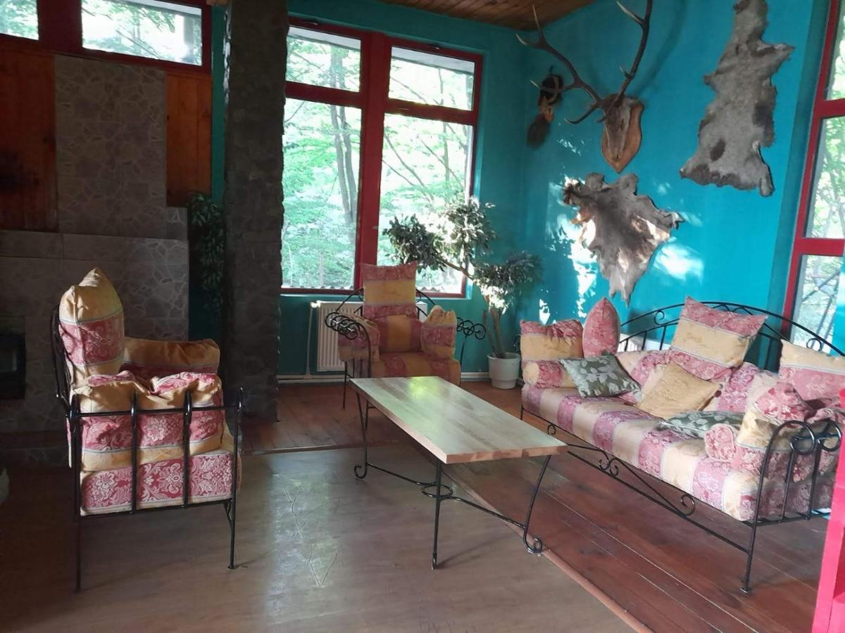 Hotel Barlogul Ursilor Lepşa Esterno foto