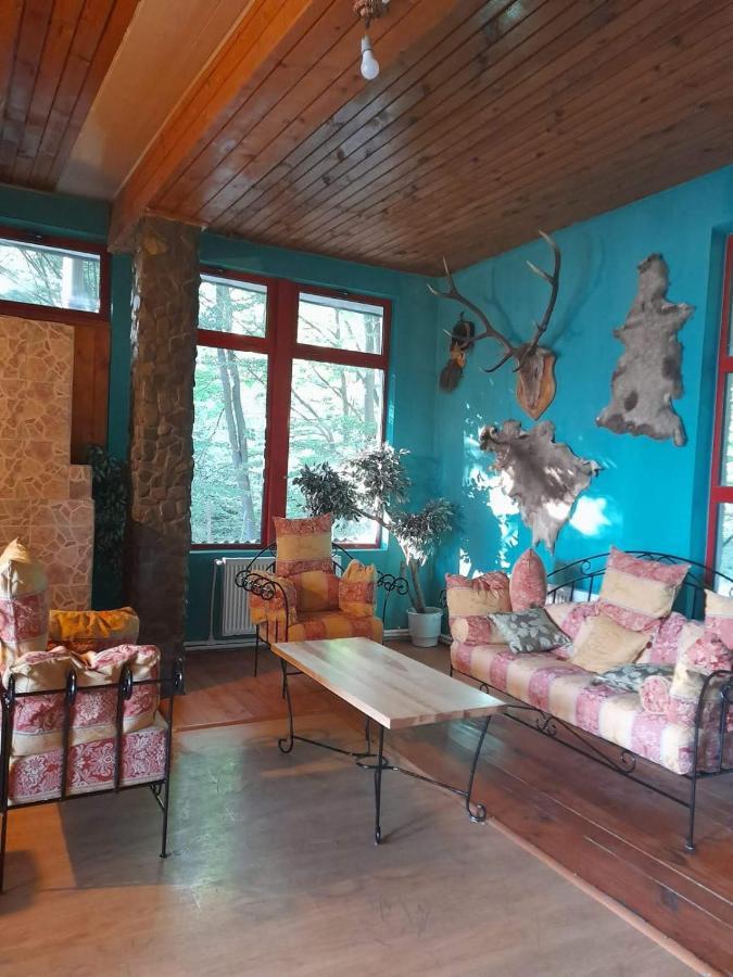 Hotel Barlogul Ursilor Lepşa Esterno foto