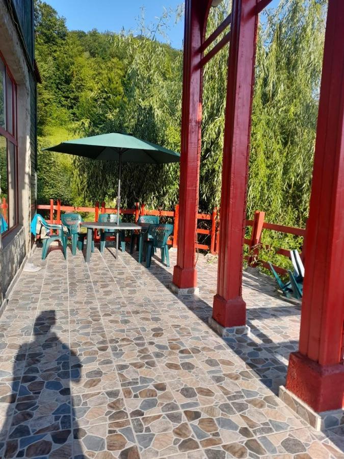 Hotel Barlogul Ursilor Lepşa Esterno foto