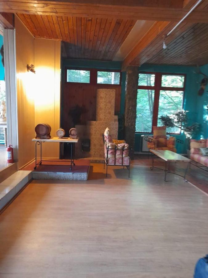 Hotel Barlogul Ursilor Lepşa Esterno foto