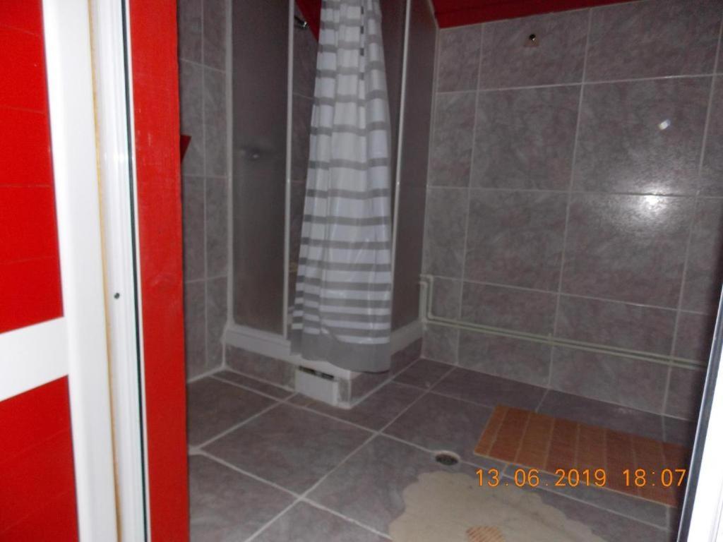 Hotel Barlogul Ursilor Lepşa Esterno foto