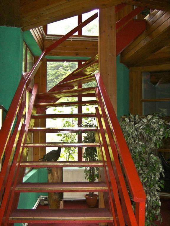 Hotel Barlogul Ursilor Lepşa Esterno foto