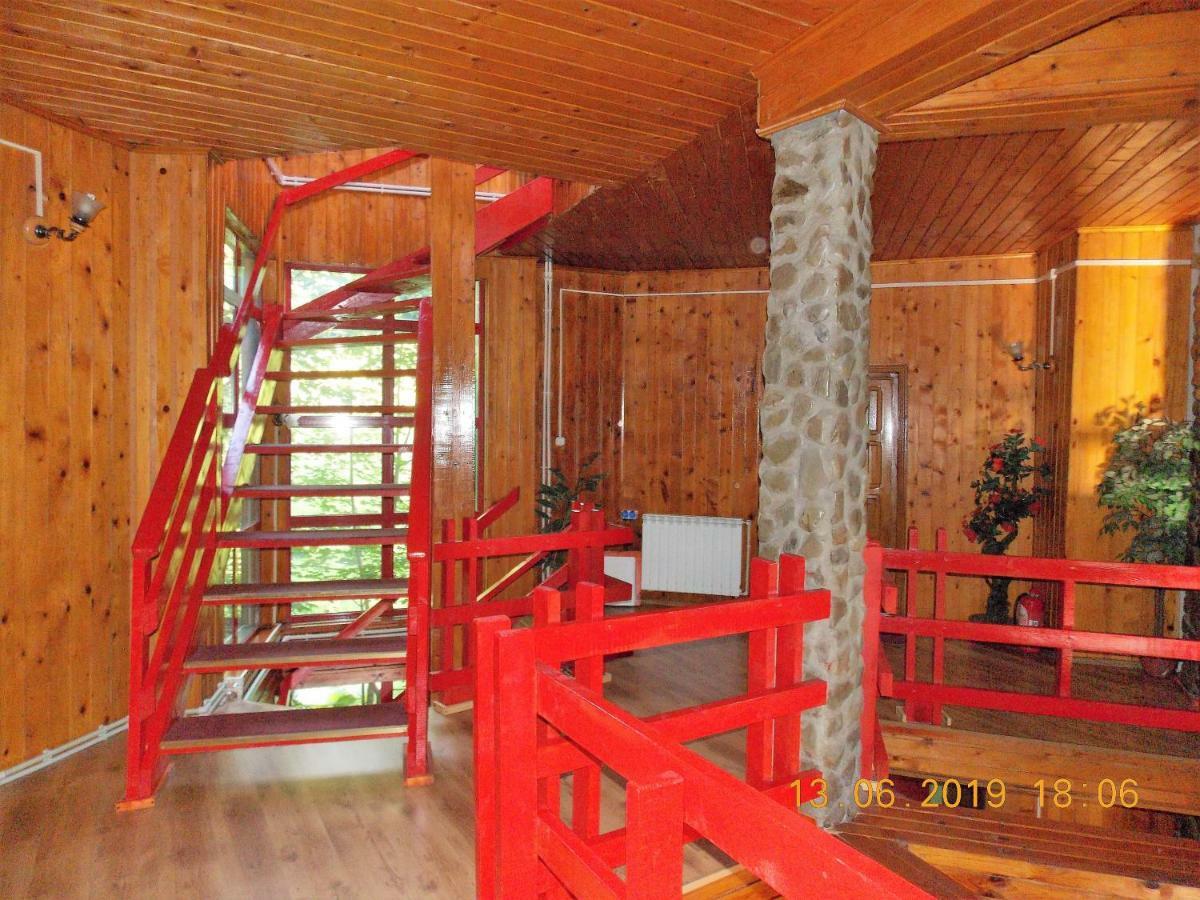 Hotel Barlogul Ursilor Lepşa Esterno foto
