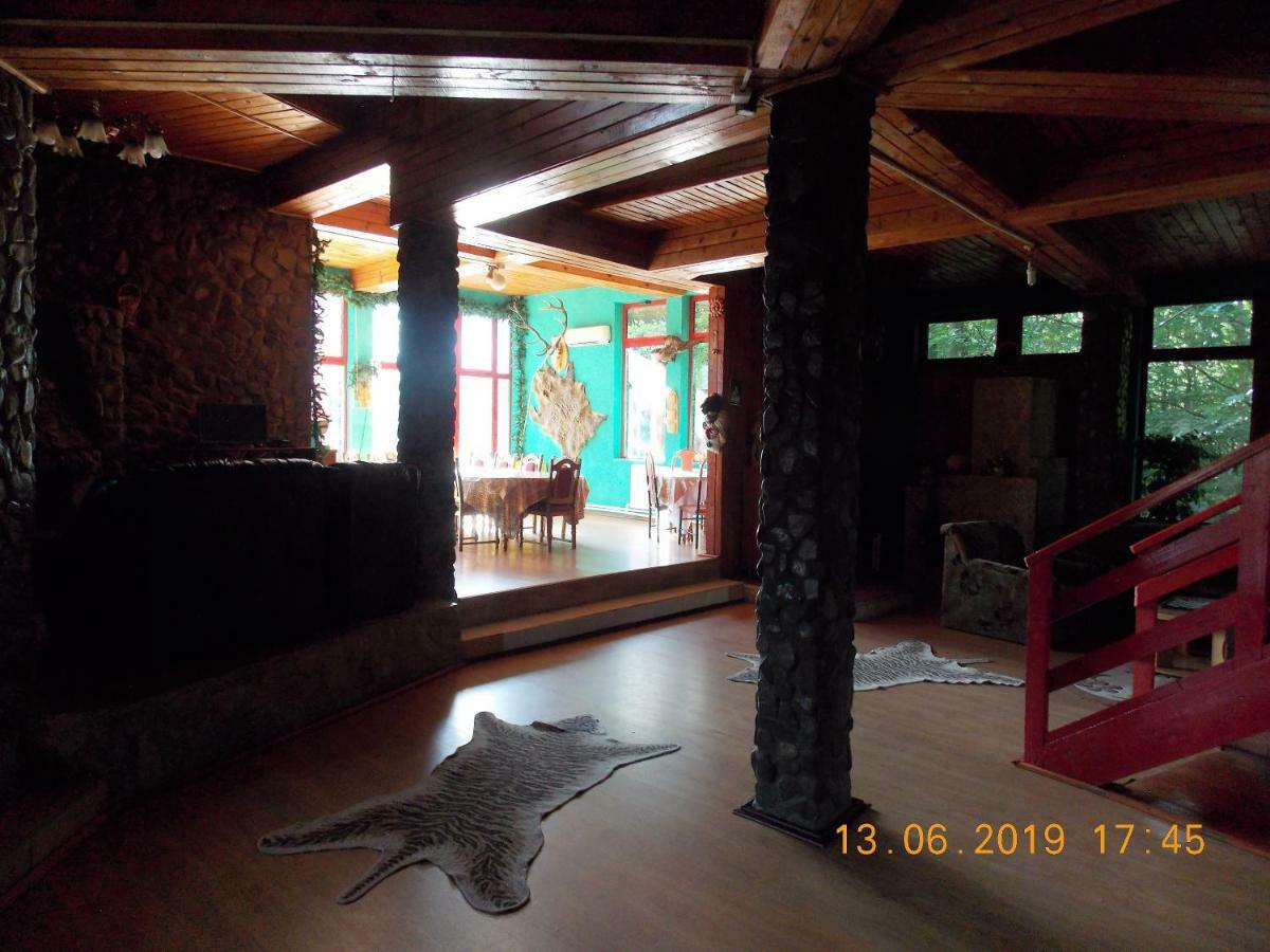 Hotel Barlogul Ursilor Lepşa Esterno foto